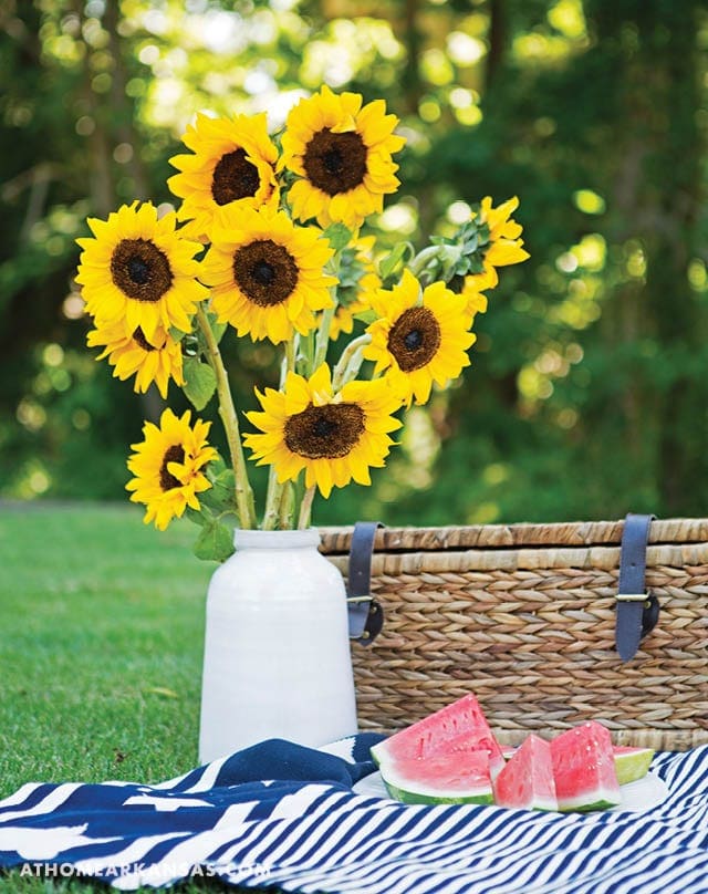 On the Sunny Side | At Home in Arkansas | July 2016